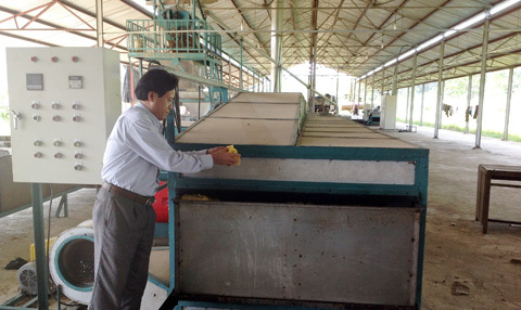 Thấp thỏm trước quyết định chuyển đổi một DNNN