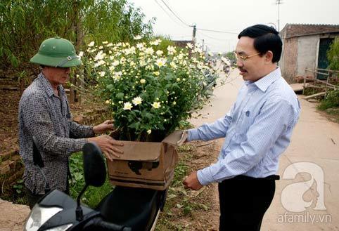Tây Hồ, làng hoa, cúc họa mi, chợ hoa đêm