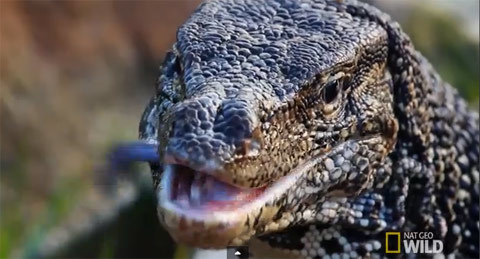 Tâm điểm khoa học tuần: Chứng minh