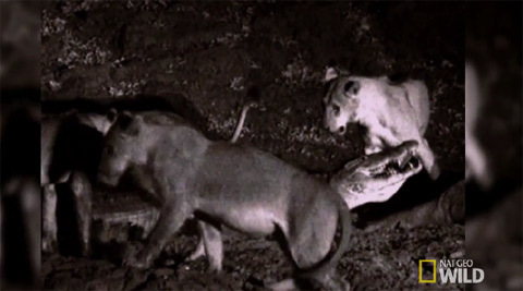 Tâm điểm khoa học tuần: Chứng minh