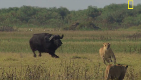 Tâm điểm khoa học tuần: Chứng minh