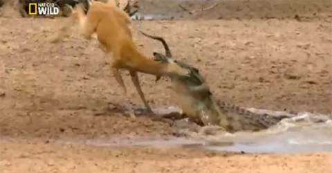 Tâm điểm khoa học tuần: Chứng minh