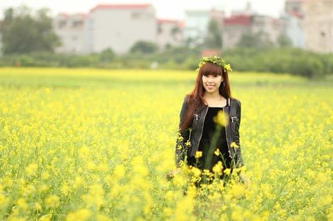 hoa cải, sông Đuống
