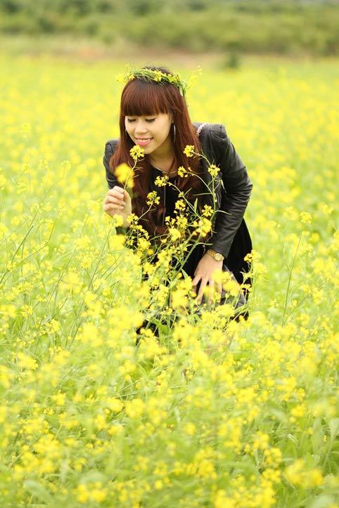 hoa cải, sông Đuống