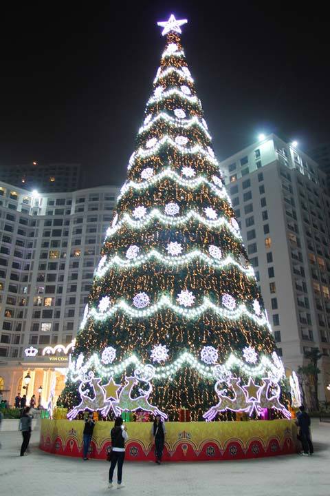 Noel, cây thông, Giáng sinh, Hà Nội