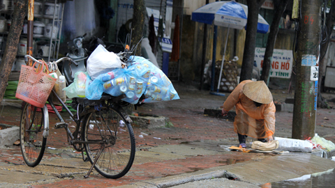 Thân cò, đợt rét ,  đầu mùa, Hà Tĩnh