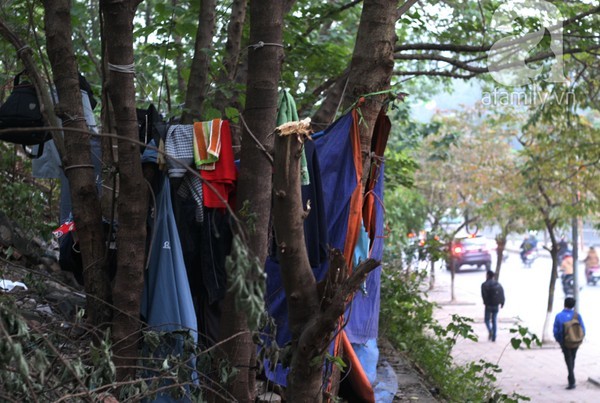 nhà trên cây, lao động nhập cư