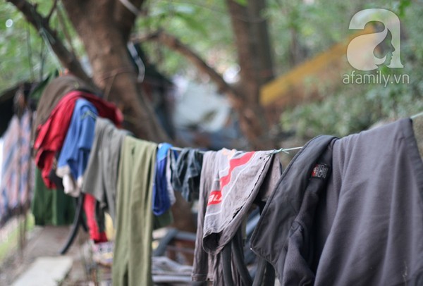 nhà trên cây, lao động nhập cư
