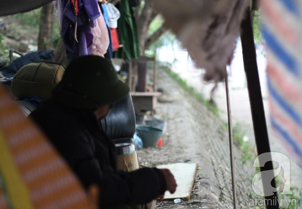 nhà trên cây, lao động nhập cư