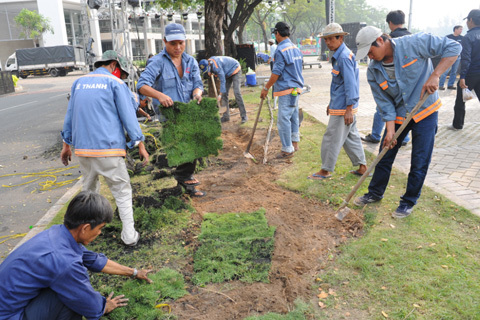 2014, pháo hoa, Tết, Sài Gòn, trang trí