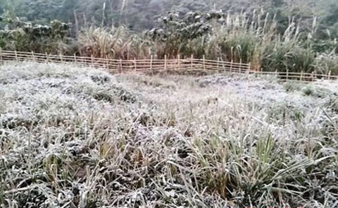 Nậm Cắn, Kỳ Sơn, Nghệ An, băng tuyết, không khí lạnh
