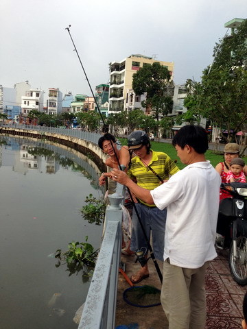 Chuyện 'chim trời, cá nước' cuối năm ở bờ kênh Nhiêu Lộc