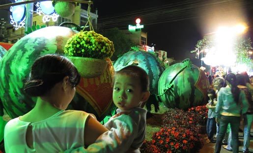 đường hoa, Cần Thơ đường hoa, Cần Thơ