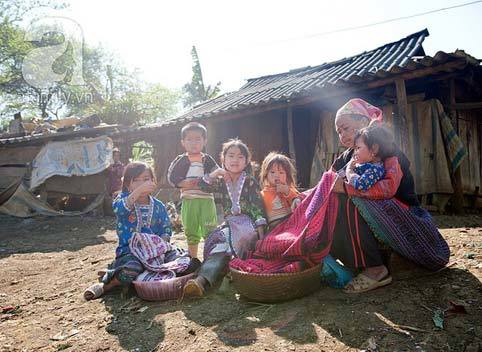 Mộc Châu, hoa đào, hoa mận