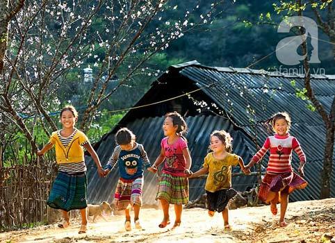 Mộc Châu, hoa đào, hoa mận
