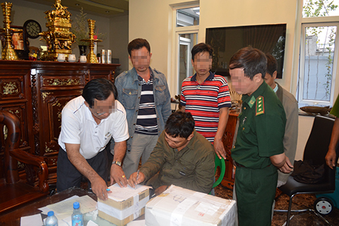 bắt, may túy, cực lớn