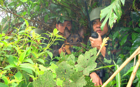 bộ đội biên phòng, ma túy, bảo vệ biên giới, hải đảo, Hà Tĩnh