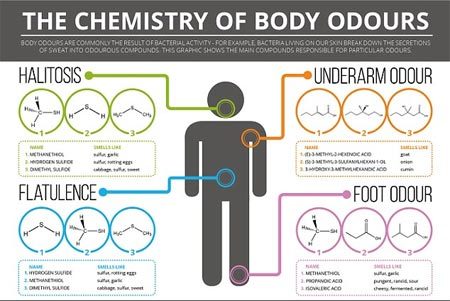 mùi hôi, thối chân, hôi nách, hôi miệng, hợp chất hóa học, vi khuẩn