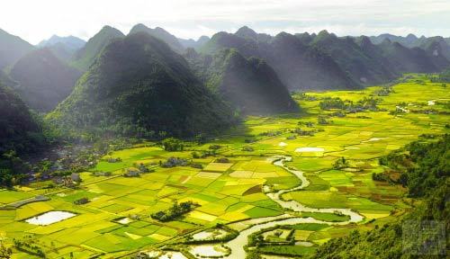 cánh đồng, đồi chè, tam giác mạch, thung lũng