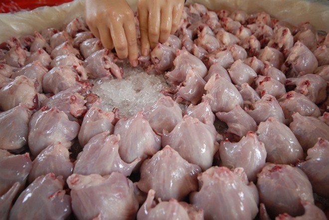 Chợ chuột Phù Dật vừa nhận danh hiệu 1 trong 100 phiên chợ độc đáo của Việt Nam do Trung tâm sách kỷ lục Việt Nam trao tặng. Đây là nơi bán chuột đồng quanh năm và có hàng trăm người sống bằng nghề bắt, mua bán loài gặm nhấm này