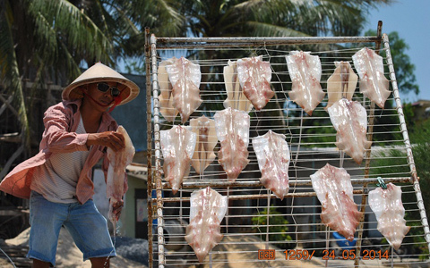 miền Trung, Nghệ An, Hà Tĩnh, Quảng Bình, nắng nóng, chảo lửa, gió Lào