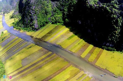 mùa vàng, Bích Động, Tam Cốc, Ninh Bình, Hoa Lư