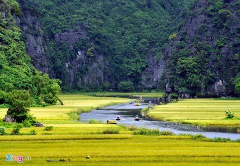 mùa vàng, Bích Động, Tam Cốc, Ninh Bình, Hoa Lư