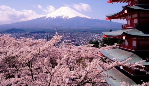 Nhật Bản, mặt trời mọc, hoa anh đào, Tokyo, tiết kiệm, cường quốc, tỷ phú, giàu có, đại gia