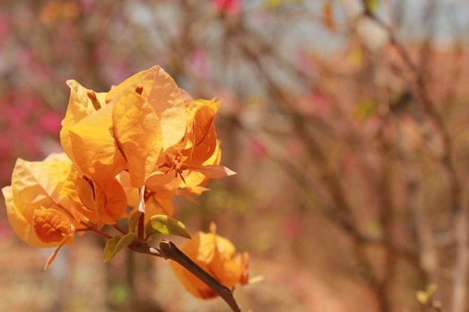 Bình Thuận, đẹp