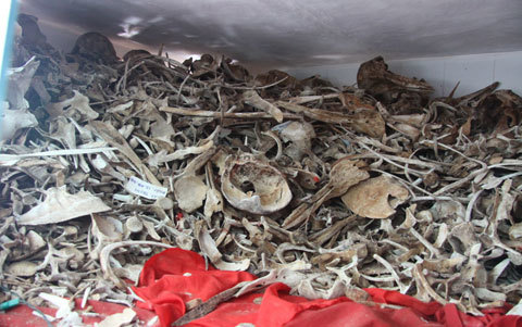 làng chài, Phước Hải, Vũng Tàu, cá ông...