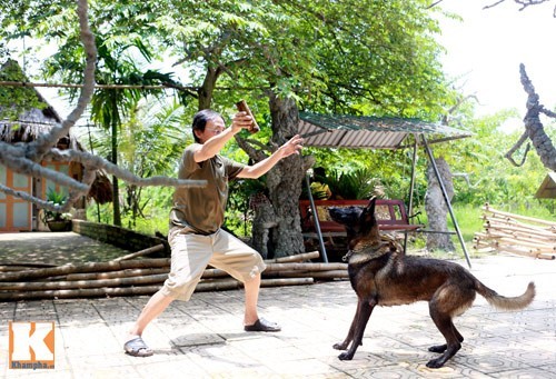 Giang còi, diễn viên, nhà vườn