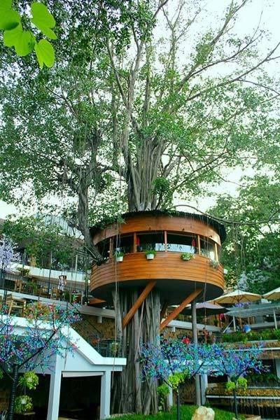quán cà phê trên cây, cà phê Sài Gòn