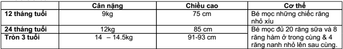 Lưu ý về dinh dưỡng cho trẻ từ 1 - 2 tuổi