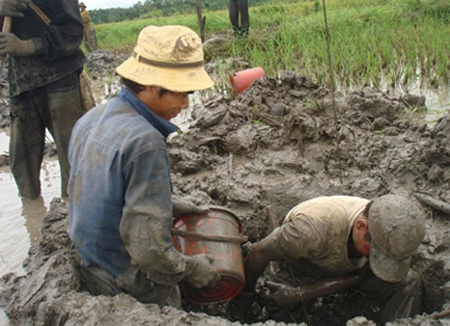 báu-vật, thủy-tùng, kho-báu, vàng, đào, đi-tìm, nông-dân, huyền-sử, đại-gia, váng-tấn