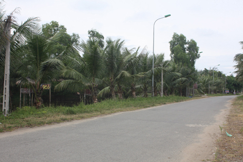 căng thẳng, vây bắt, đối tượng, nổ súng, rừng phi lao, Nghi Xuân, Hà Tĩnh