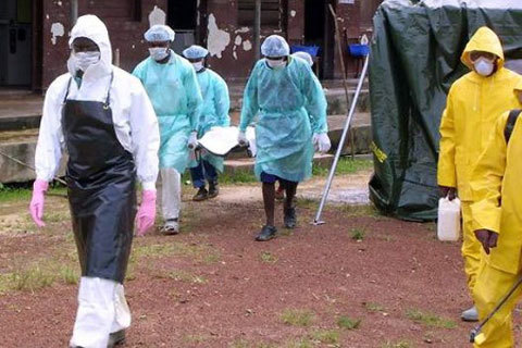 Ebola, dịch, tây Phi, Nigeria, Sierra Leone, lao động, Đại sứ quán