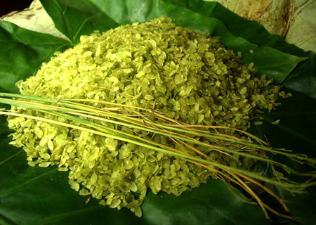 Hương cốm mùa thu