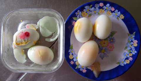 Hai quả trứng có màu đỏ bất thường đang được gia đình bà Vân cất giữ trong tủ lạnh