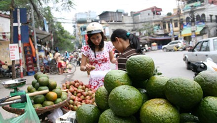 Vệ sinh an toàn thực phẩm, Thực phẩm chứa hóa chất, Thực phẩm giả