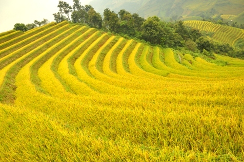 Mù Cang Chải, Du lịch Tây Bắc, Vùng núi Tây Bắc, Du lịch Yên Bái