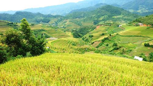 Mù Cang Chải, Du lịch Tây Bắc, Vùng núi Tây Bắc, Du lịch Yên Bái