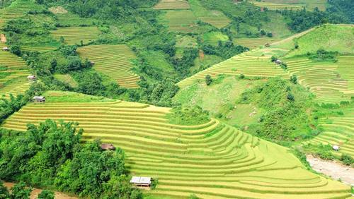 Mù Cang Chải, Du lịch Tây Bắc, Vùng núi Tây Bắc, Du lịch Yên Bái