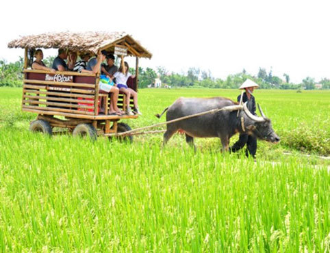 du lịch, làm nông dân, du lịch bom mìn, xe trâu, Bát Tràng