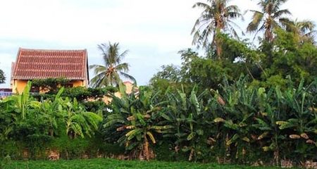 Những bức ảnh sẽ khiến bạn muốn đến thăm Việt Nam......
