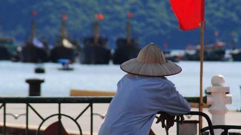 Việt Nam, bộ ảnh, chiêm ngưỡng