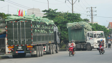 cảng biển, để chở quá tải, thu hồi giấy phép, kinh doanh