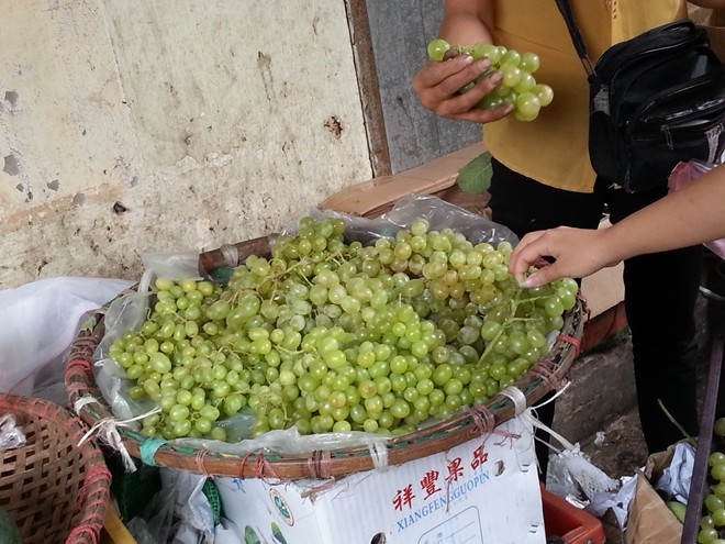 cá-quả, hàng-Tàu, cá-trăm-giòn, hóa-chất, nho, Tung-Quốc, xăng, giảm-giá, hàng-hóa, sả, đội-lốt, ưng-thư