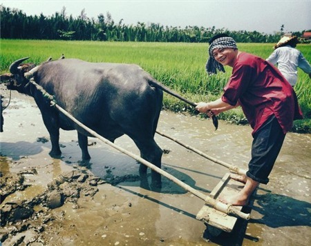 MC, BTV, Quang Minh, Ngọc Trinh, Diệp Anh, Diễm Quỳnh, Quốc Khánh, Khắc Cường, Anh Tuấn, Diệp Chi, Hoa Thanh Tùng, Nguyên Khang