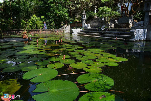 Việt phủ Thành Chương, nhà cổ, đồ cổ, không gian Việt Việt phủ Thành Chương, nhà cổ, đồ cổ, không gian Việt