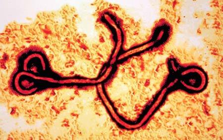 virus Ebola, bệnh Ebola, vắc-xin, dạng xông hít